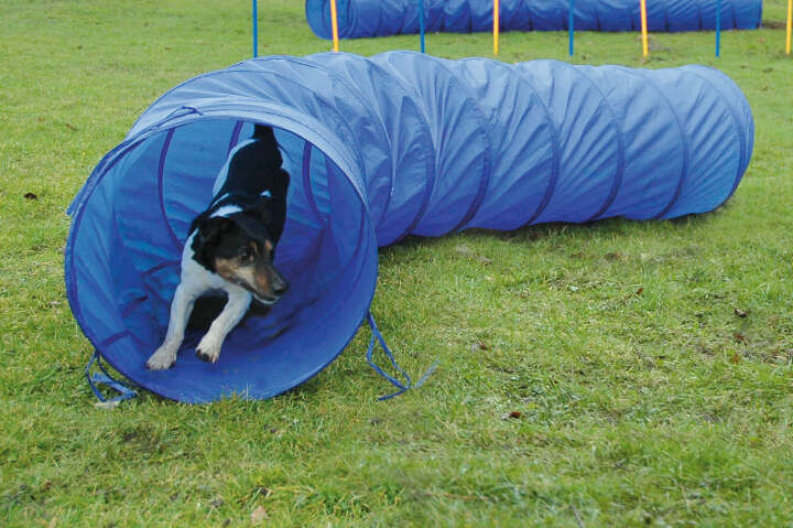 dobar Agility Tunnel